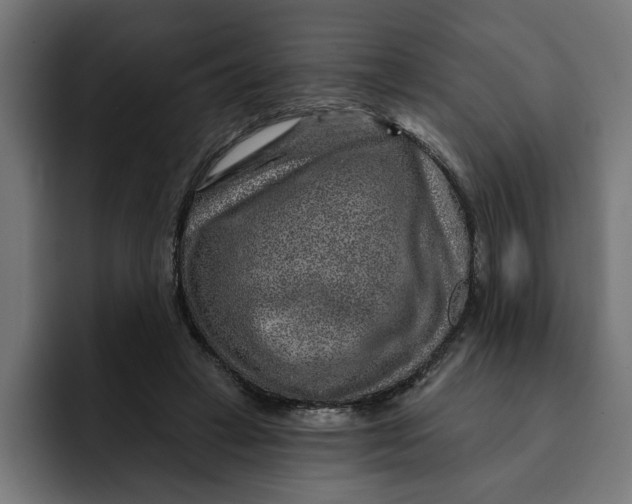 X0000092040449200710031027