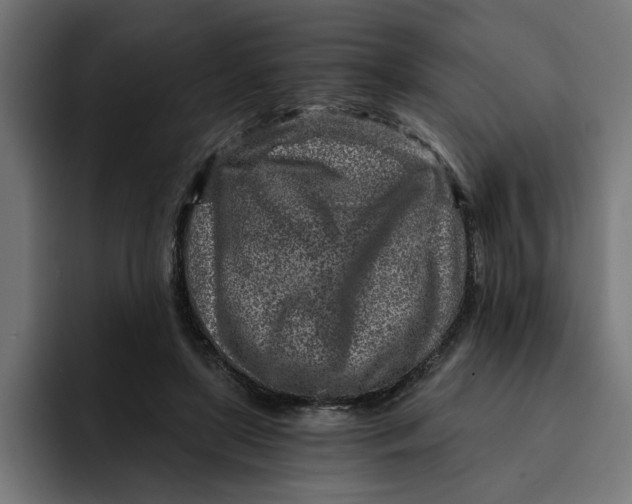 X0000092040451200710031027