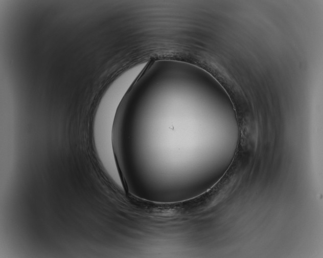 X0000092040454200710031027