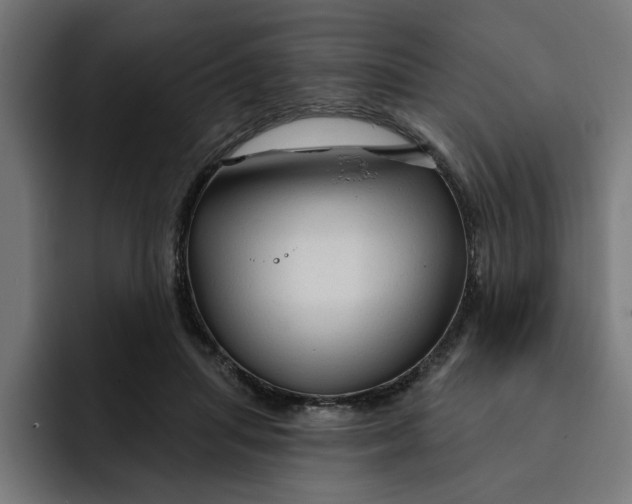 X0000092040455200710031027