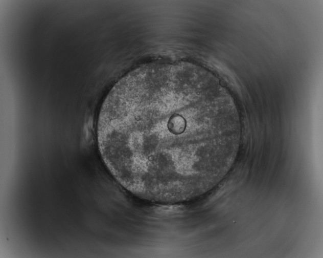 X0000092040465200710031028