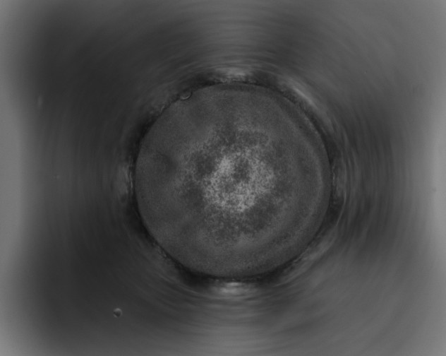 X0000092040467200710031028