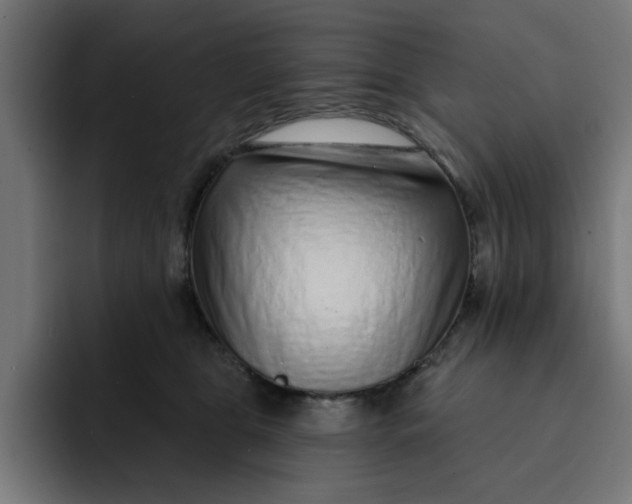 X0000092040469200710031028