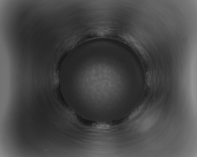 X0000092040471200710031028