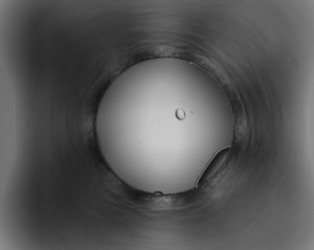 X0000092040473200710031028