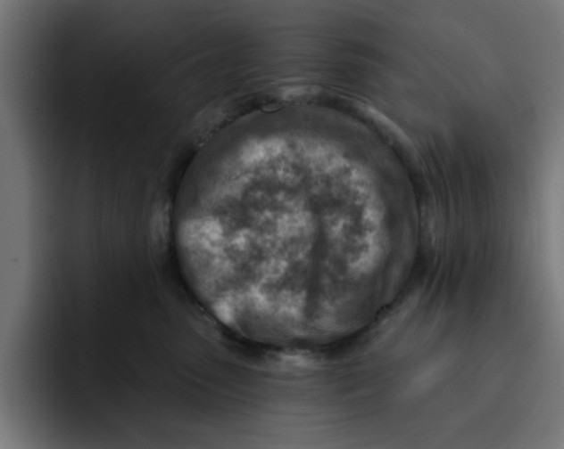 X0000092040475200710031028