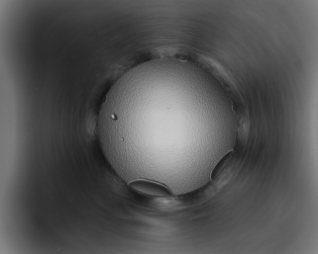 X0000092040477200710031028