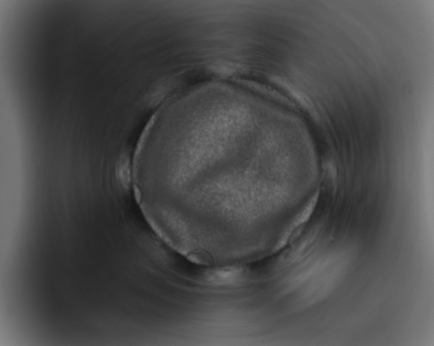 X0000092040479200710031028