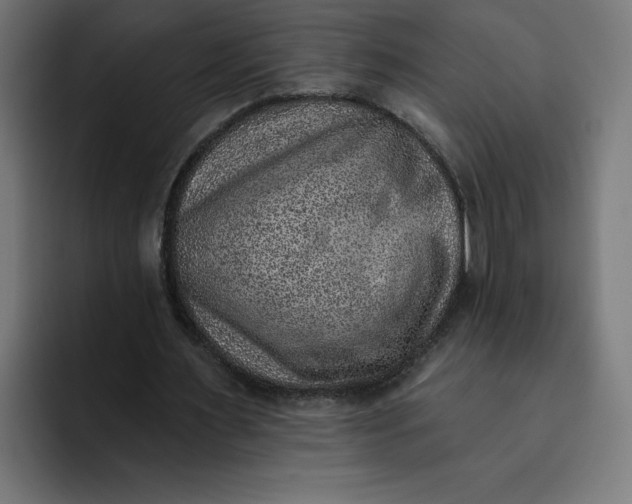 X0000092040483200710031027