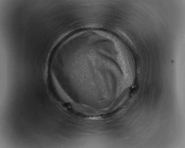 X0000092040484200710031027