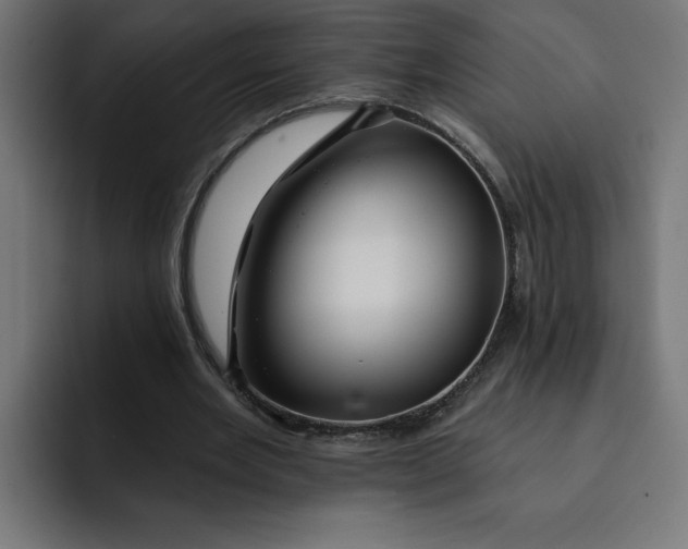 X0000092040485200710031027