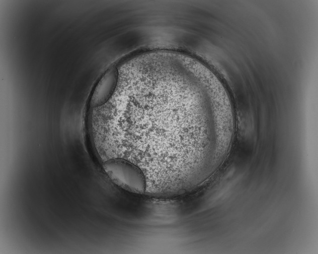 X0000092040487200710031027