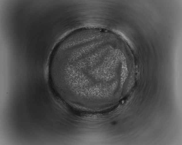 X0000092040488200710031027