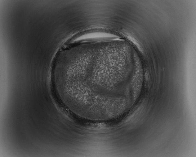 X0000092040492200710031027