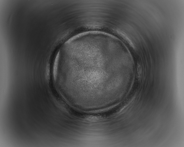 X0000092040494200710031027