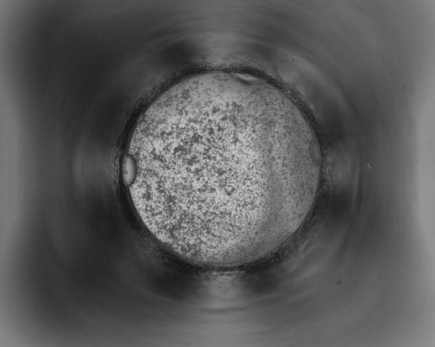 X0000092040495200710031027