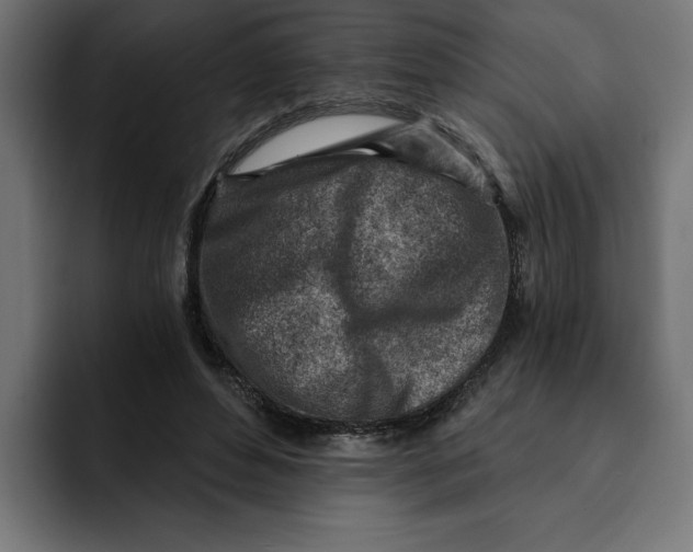 X0000092040496200710031027