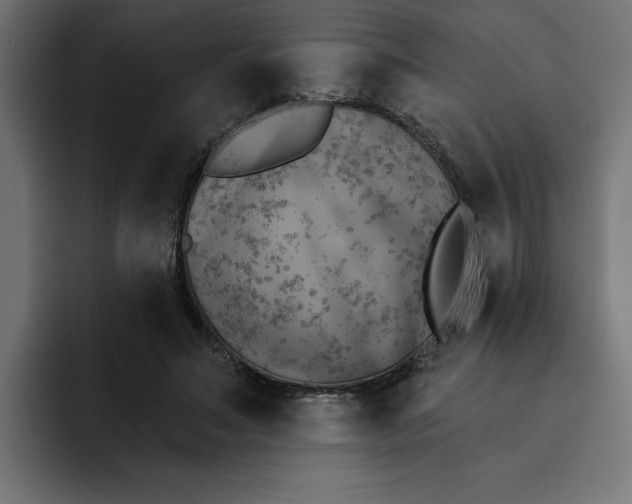 X0000092040499200710031027