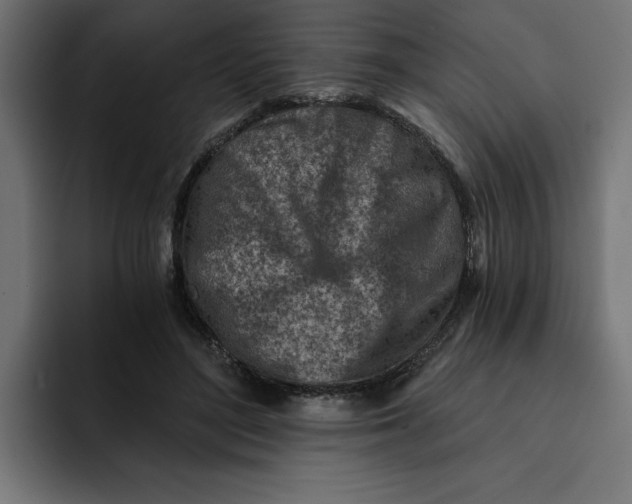 X0000092040500200710031027