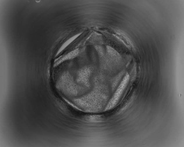 X0000092040501200710031027