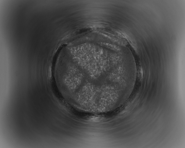 X0000092040504200710031027