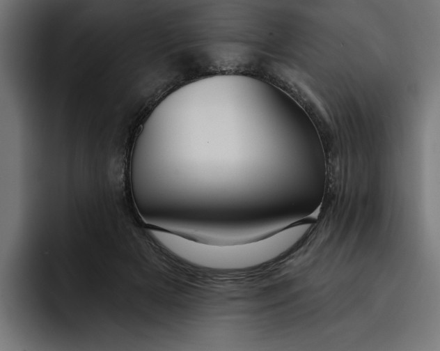 X0000092040505200710031027