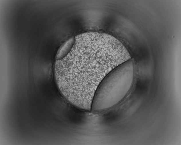 X0000092040511200710031027