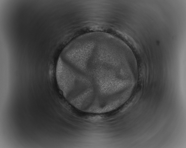 X0000092040513200710031027