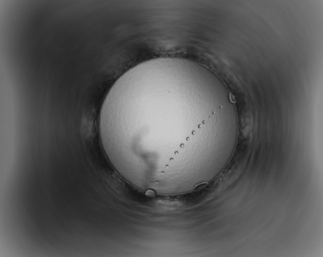 X0000092040515200710031027