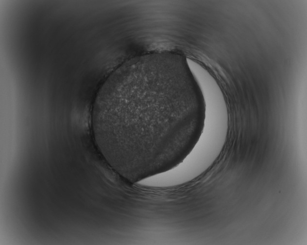 X0000092040517200710031027