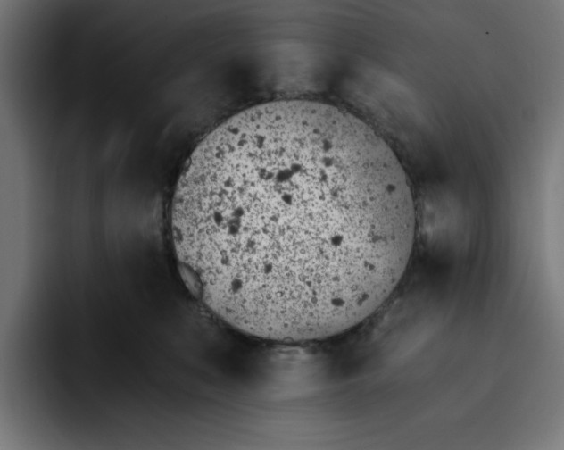 X0000092040519200710031027