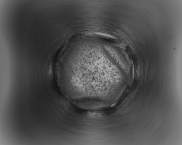 X0000092040520200710031027