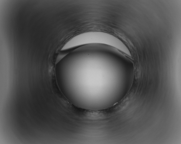 X0000092040521200710031027