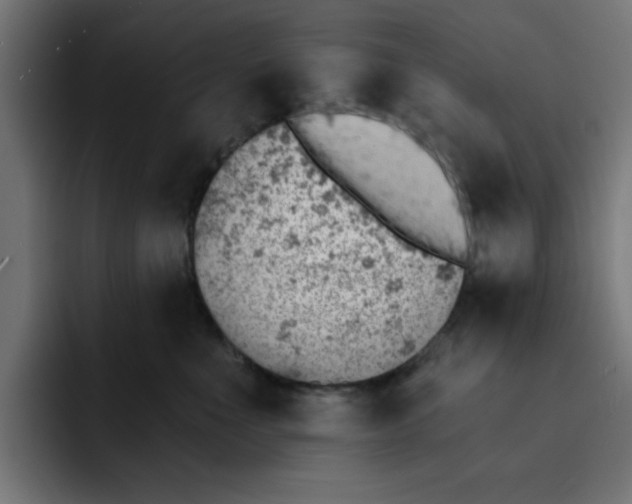 X0000092040523200710031027