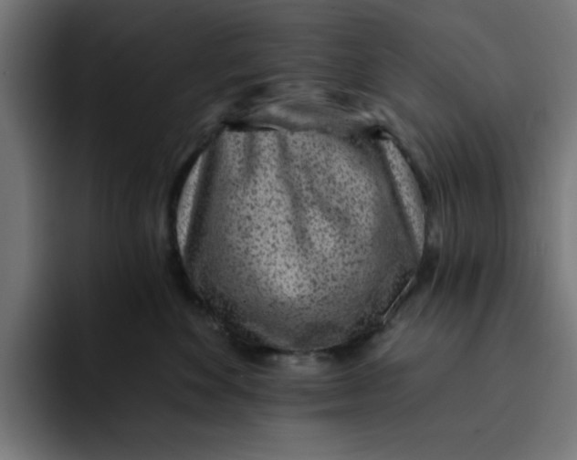 X0000092040524200710031027