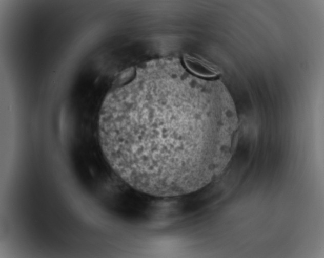 X0000092040527200710031027