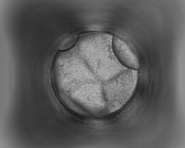 X0000092040529200710031026