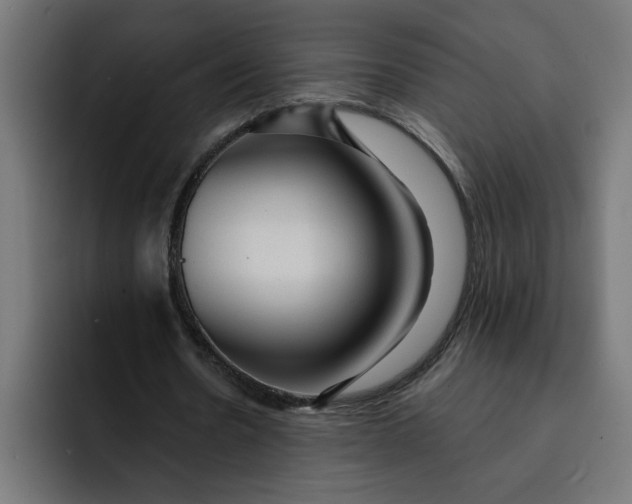 X0000092040530200710031026