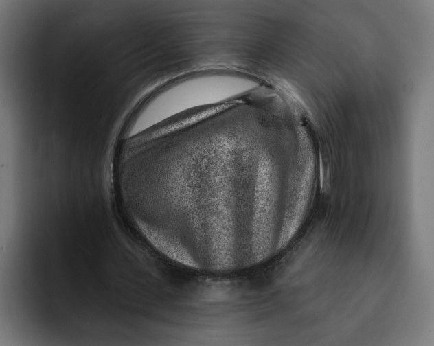 X0000092040531200710031026