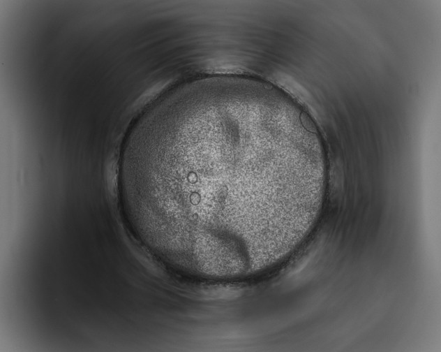 X0000092040533200710031026