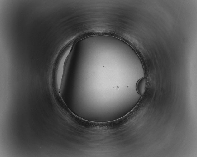 X0000092040535200710031026