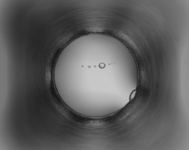 X0000092040541200710031026