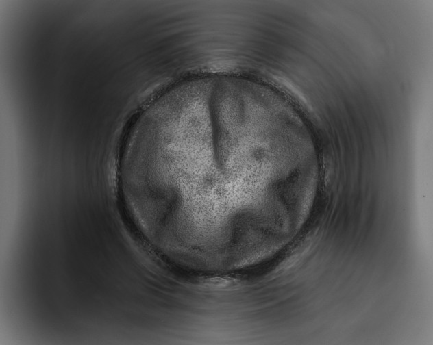 X0000092040542200710031026