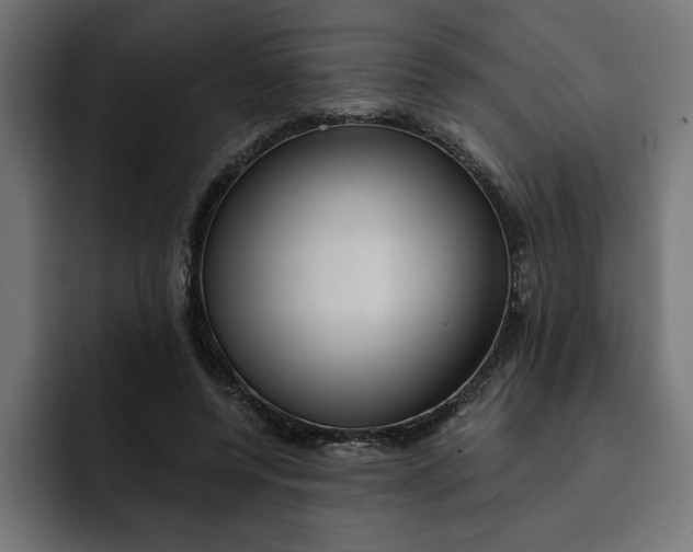 X0000092040544200710031026