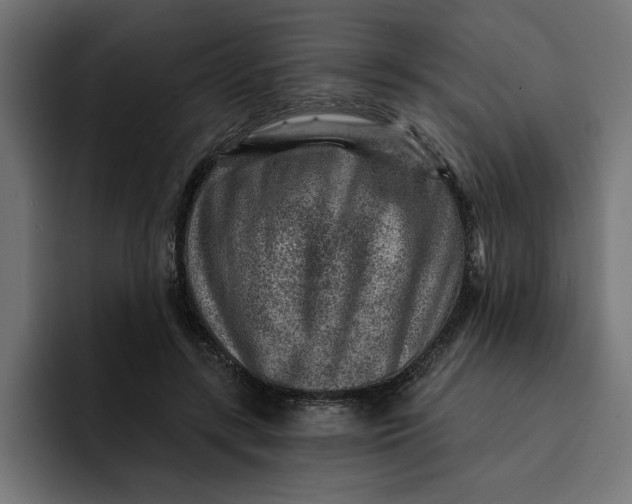 X0000092040547200710031026