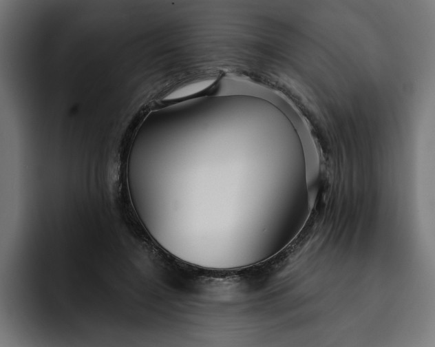 X0000092040548200710031026