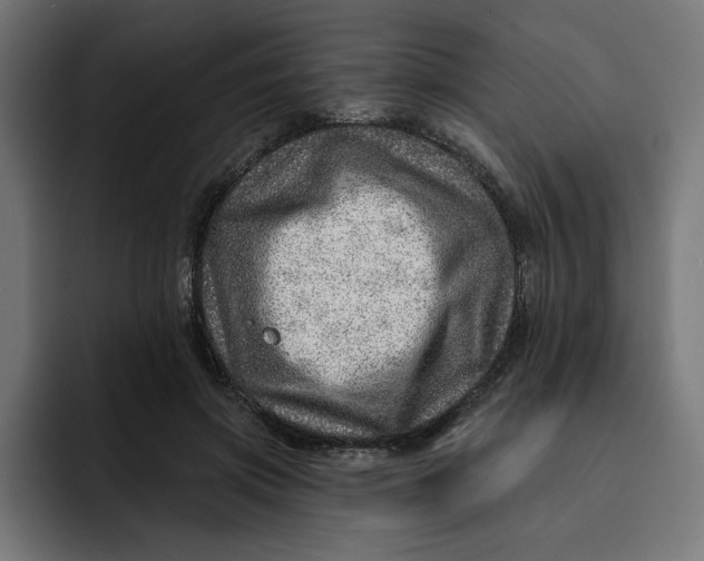 X0000092040549200710031026