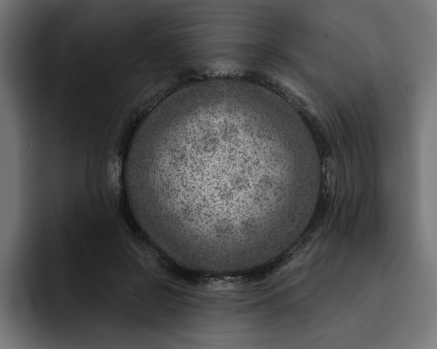 X0000092040550200710031026