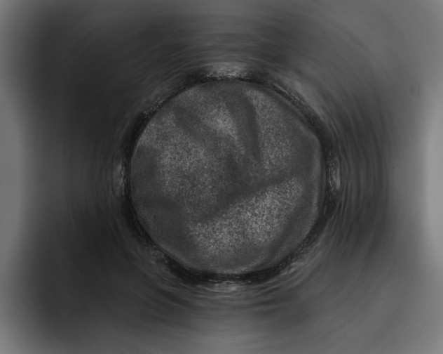 X0000092040551200710031026