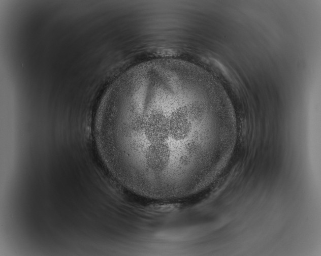 X0000092040553200710031026